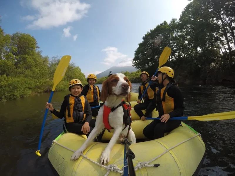 ニセコで犬とラフティング